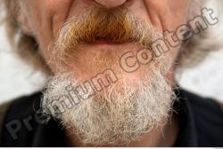 Mouth Man White Average Bearded